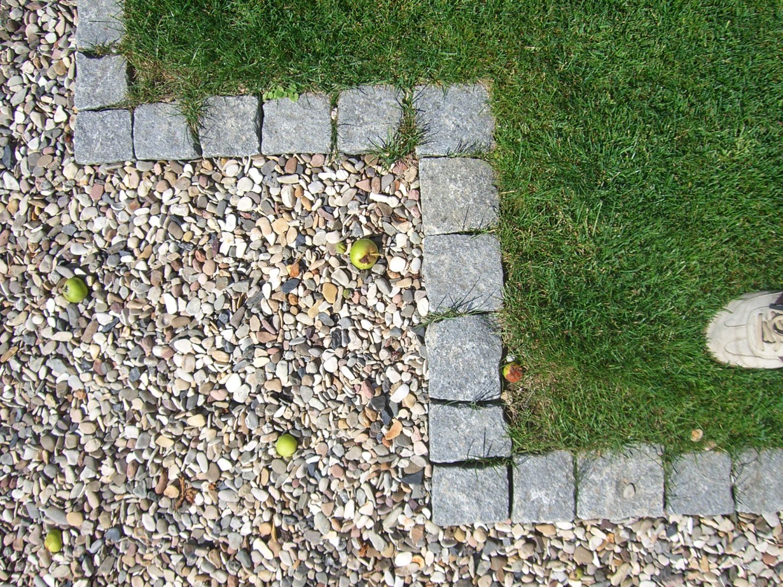 0601-Hausgarten-5.jpg