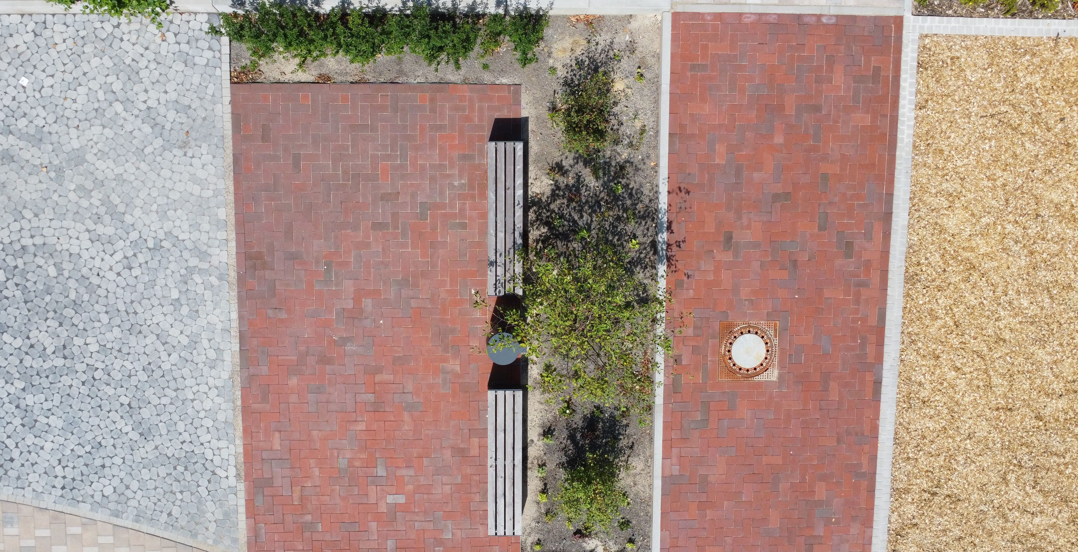 DJI_0878-e1786529562139.jpg